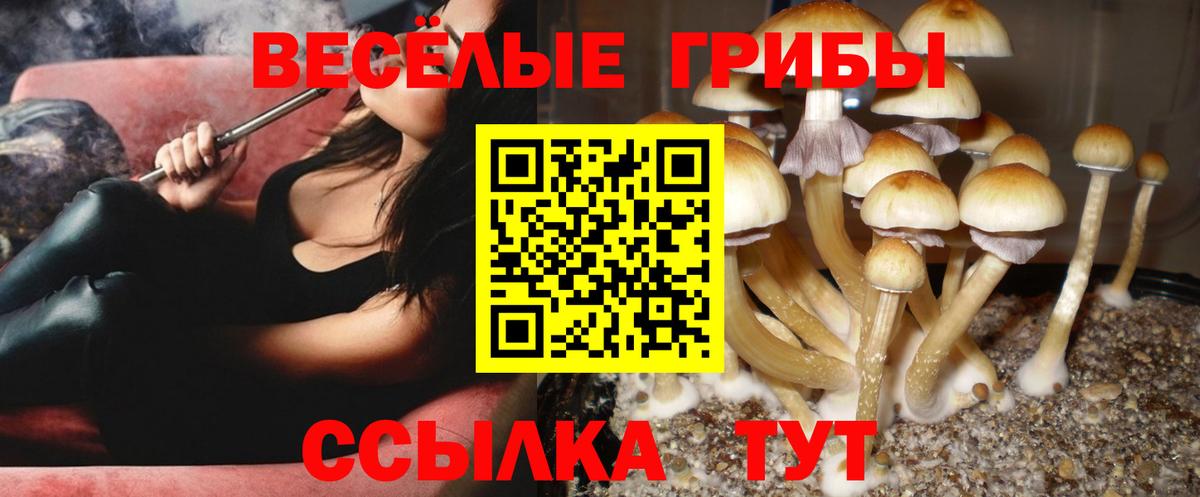 Галлюциногенные грибы прущие грибы  Вход с VPN  Галлюциногенные грибы MAGIC MUSHROOMS  Лесосибирск 